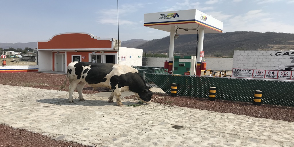Estacion Las Vacas